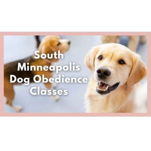 Business 2 image GO ANYWHERE DOG