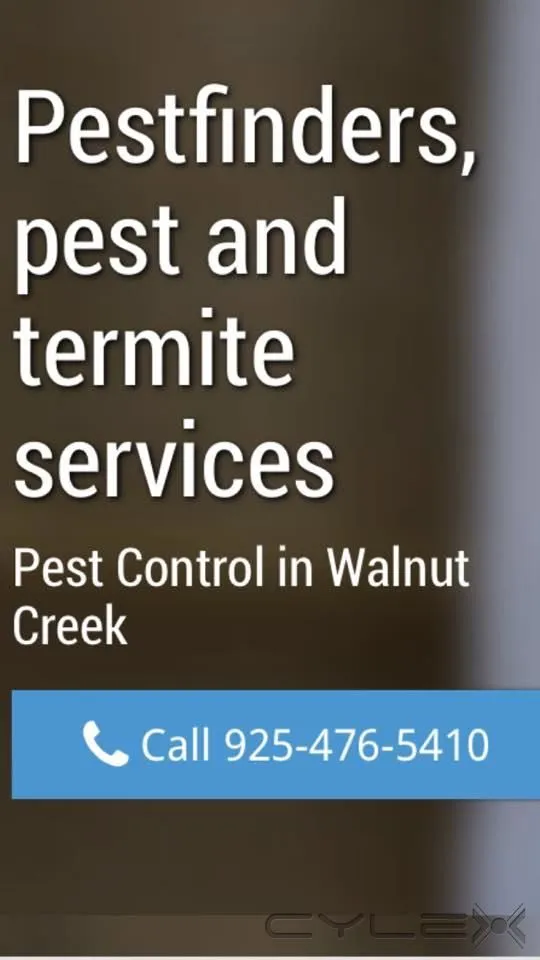 Business 2 image PESTFINDERS