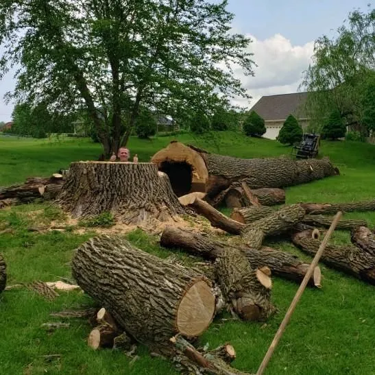 Business 9 image P&L TREE SERVICE