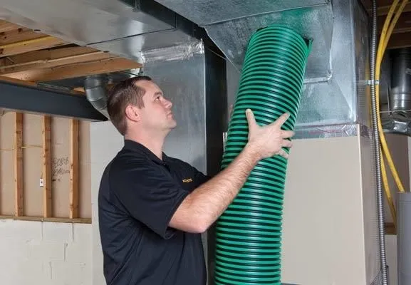 Business 64 image STANLEY STEEMER