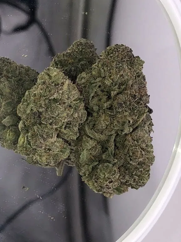 Business 4 image THE HONEYHOLE DISPENSARY