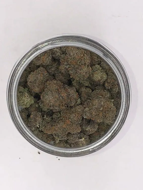 Business 12 image THE HONEYHOLE DISPENSARY