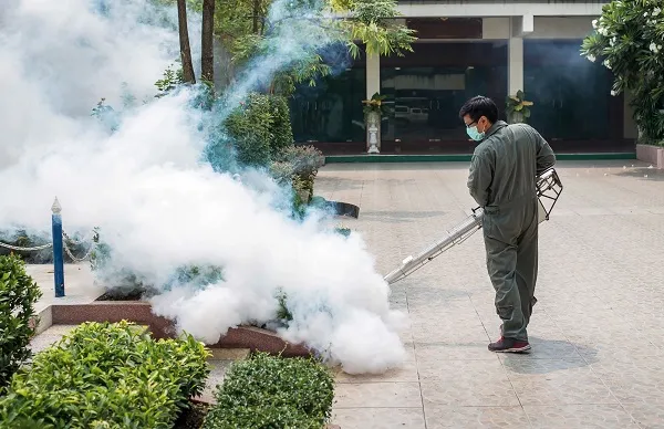 Business 3 image HILL CITY TERMITE REMOVAL EXPERTS