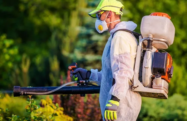 Business 4 image HILL CITY TERMITE REMOVAL EXPERTS
