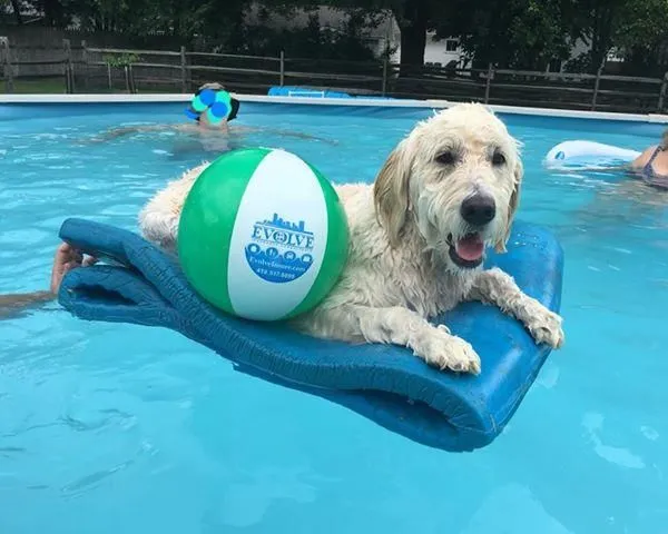 Business 1 image EVOLVE INSURANCE CONSULTANTS