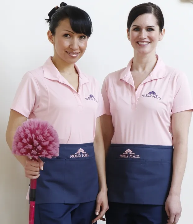 Business 8 image MOLLY MAID OF NORTH SCOTTSDALE, AHWATUKEE AND GILBERT