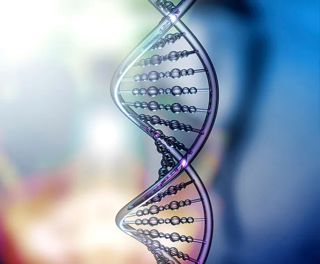 Business 2 image THE CENTER OF REGENERATIVE MEDICINE