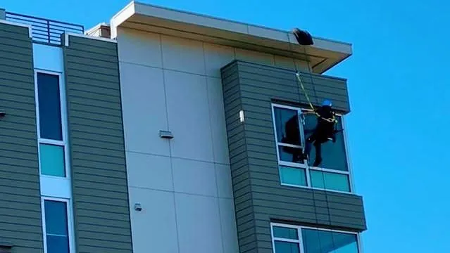 Business 74 image EAGLE WINDOW CLEANING