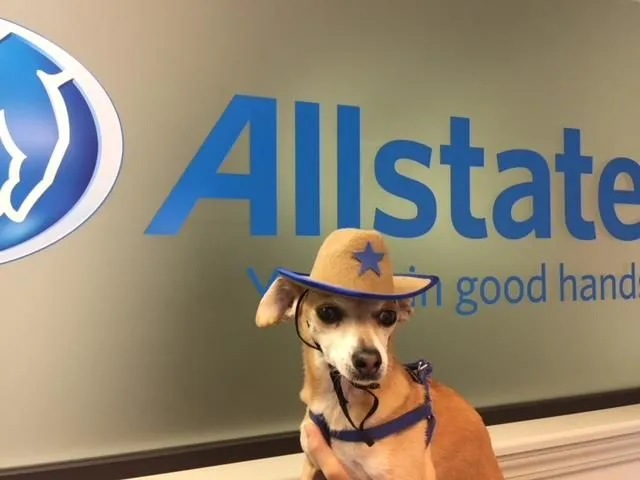 Business 8 image GEORGE CARRANZA: ALLSTATE INSURANCE