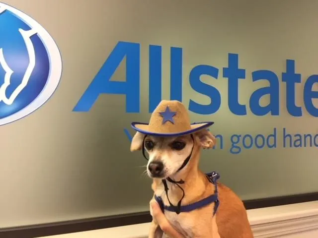 Business 11 image GEORGE CARRANZA: ALLSTATE INSURANCE