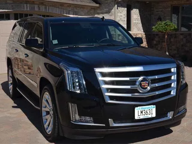 Business 3 image MIK LIMO