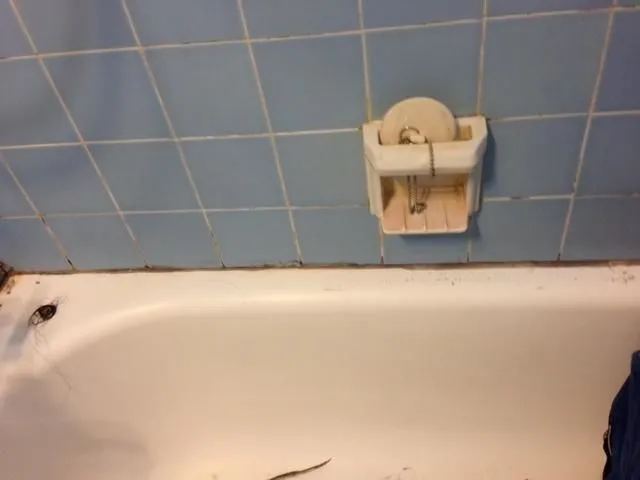 Business 4 image PRO GROUT