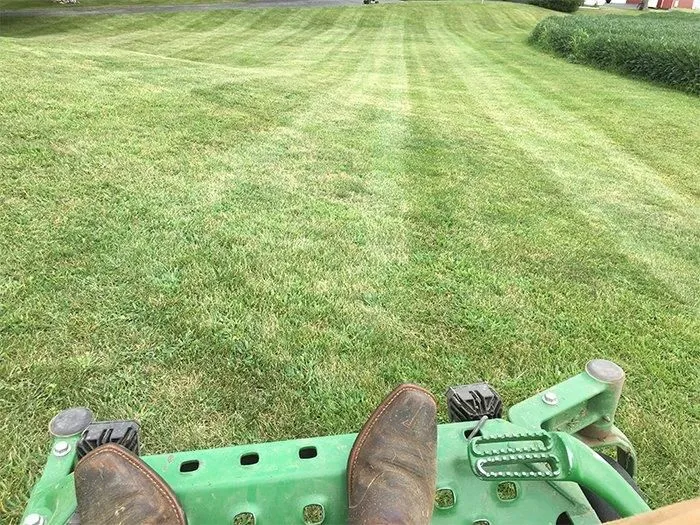 Business 6 image COLLINS MOWING