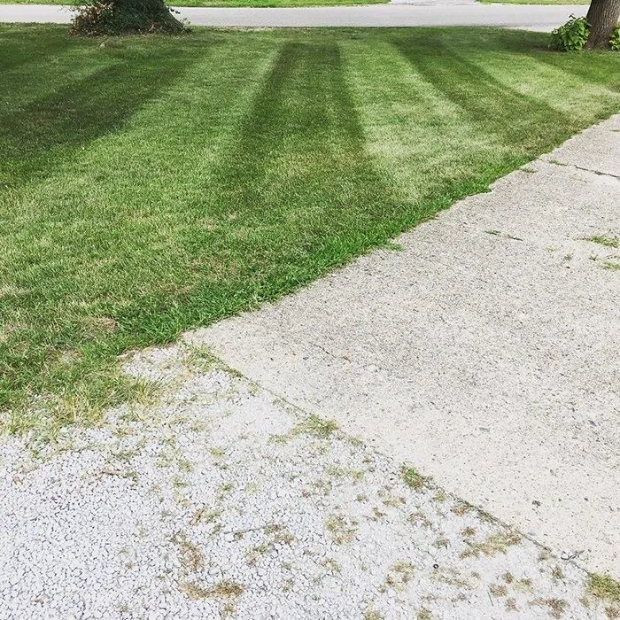 Business 1 image COLLINS MOWING