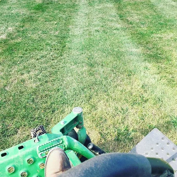 Business 4 image COLLINS MOWING