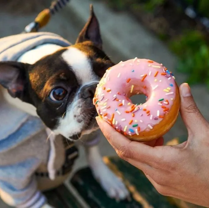 Business 53 image DUNKIN'