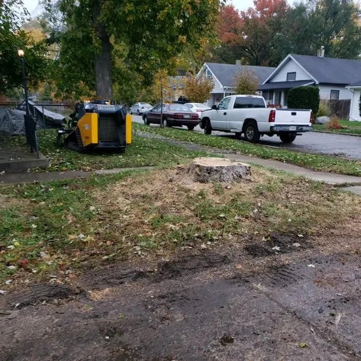 Business 7 image P&L TREE SERVICE