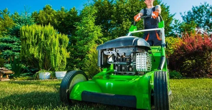 Business 2 image SAC LANDSCAPING