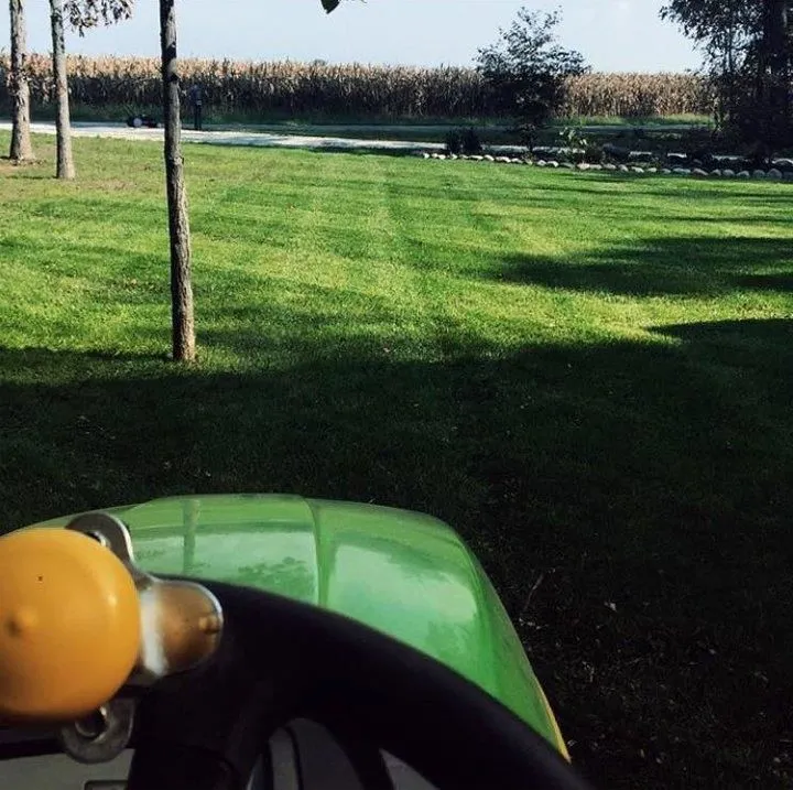 Business 11 image COLLINS MOWING