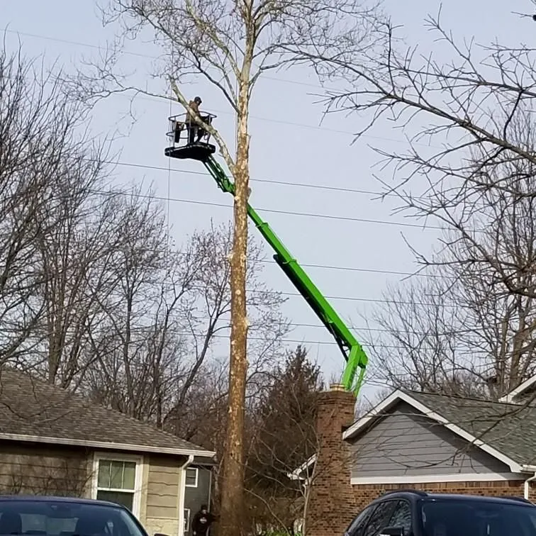 Business 10 image P&L TREE SERVICE