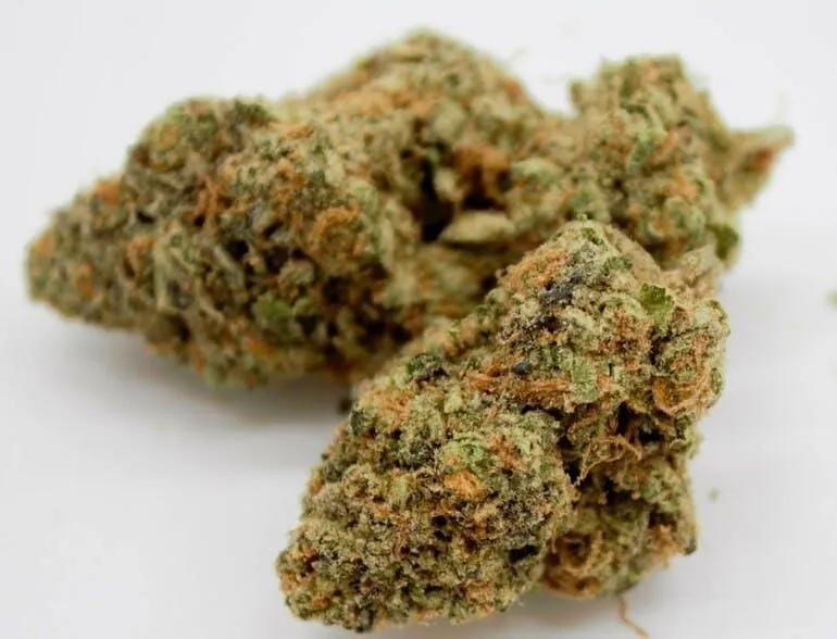 Business 14 image THE HONEYHOLE DISPENSARY