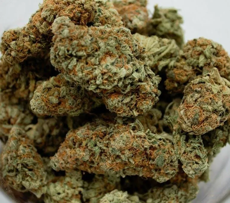 Business 13 image THE HONEYHOLE DISPENSARY