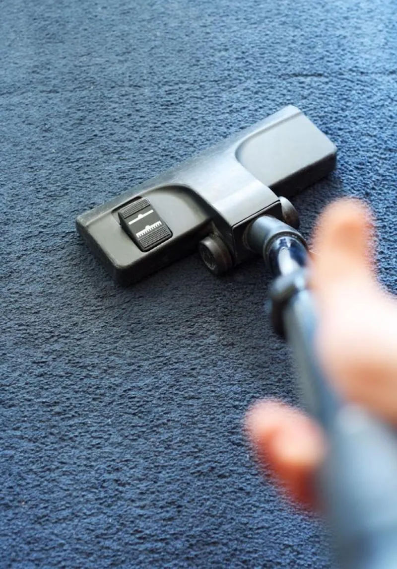 Business 2 image CARPET CLEANING WEST HOLLYWOOD
