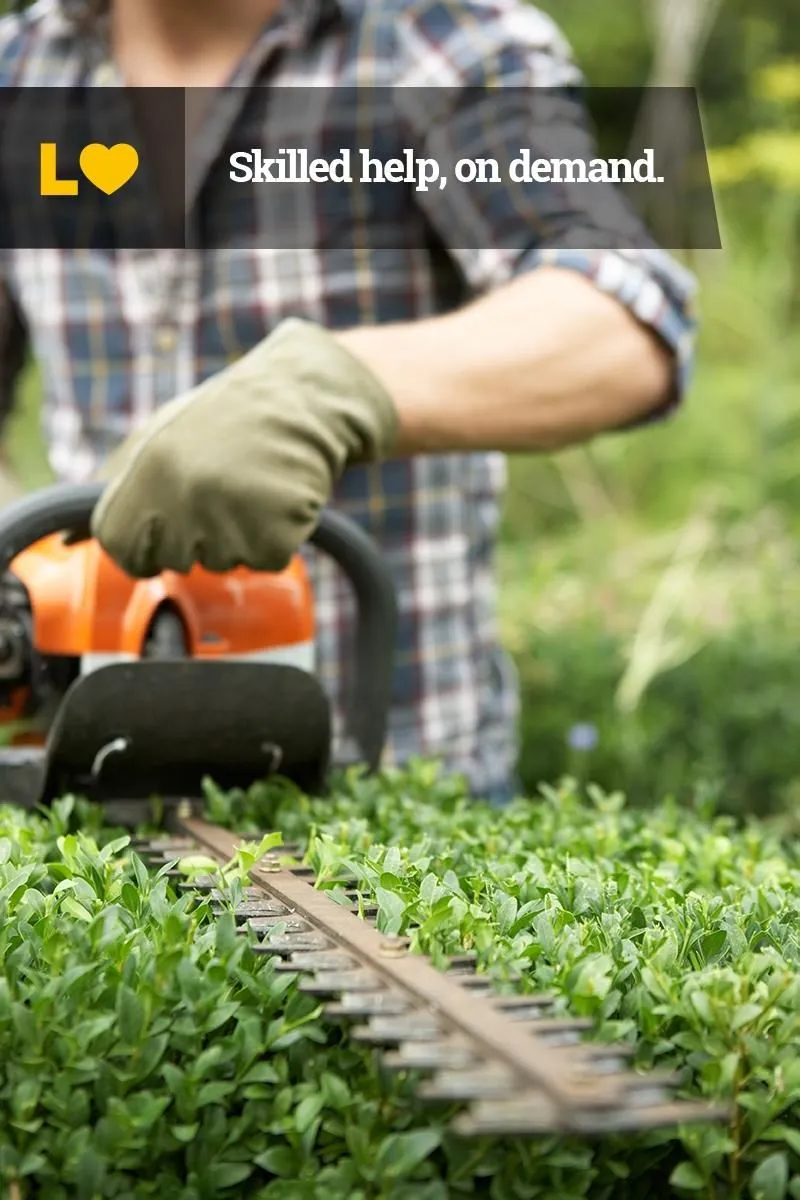 Business 5 image LAWN LOVE LAWN CARE OF OKLAHOMA CITY