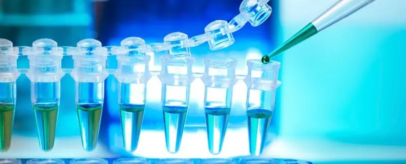 Business 3 image JUSTIN HANOVER