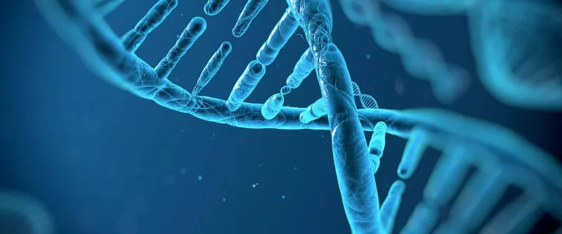 Business 2 image JUSTIN HANOVER