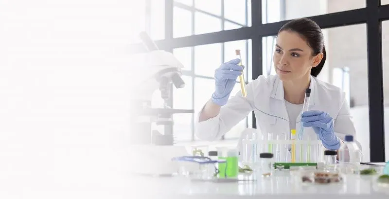 Business 4 image RAPID SCREEN 123