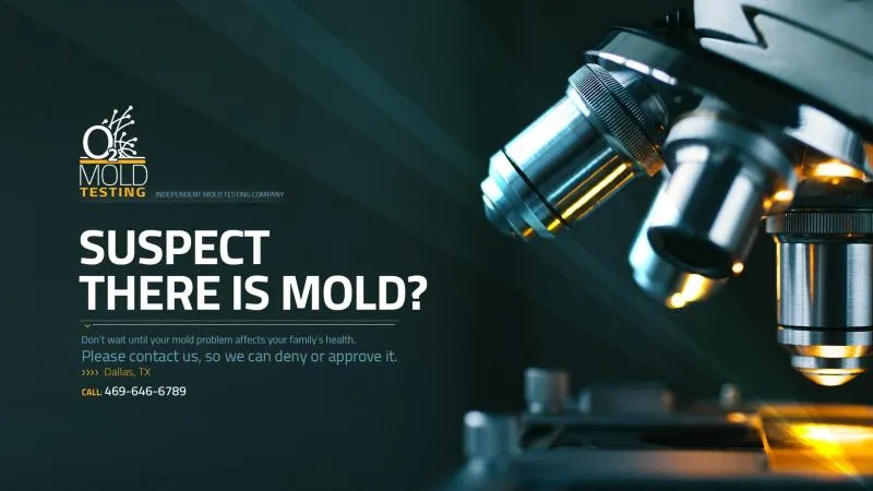 Business 7 image O2 MOLD TESTING