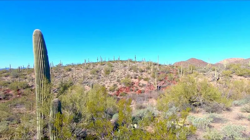 Business 1 image PRIME DENTAL