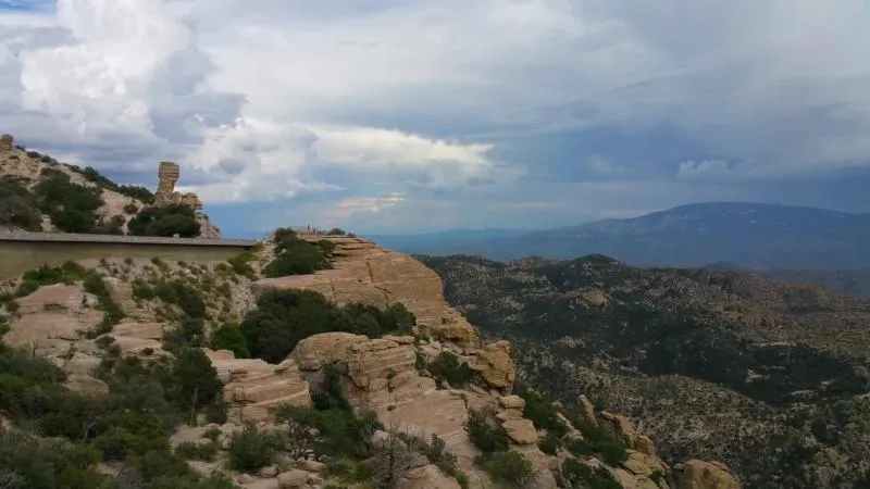 Business 8 image PRIME DENTAL