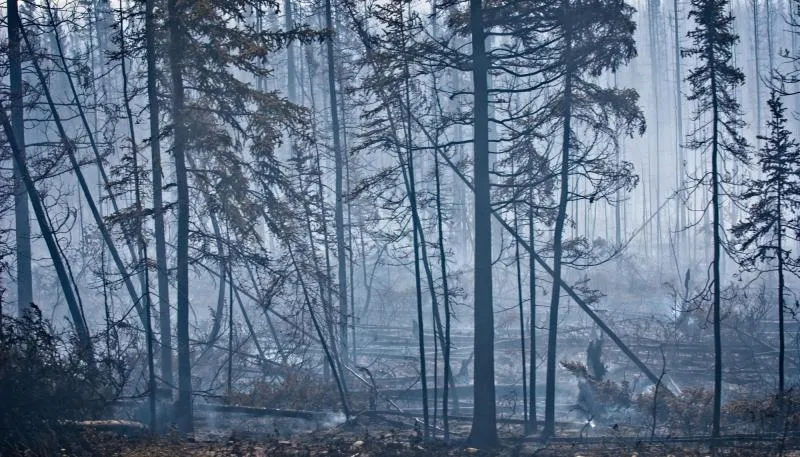 Business 8 image FOURTH GATE SMOKE DAMAGE EXPERTS