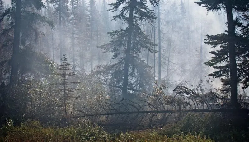 Business 12 image FOURTH GATE SMOKE DAMAGE EXPERTS