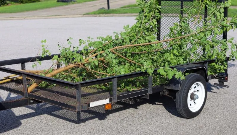 Business 4 image WALNUT CREEK TREE SERVICE
