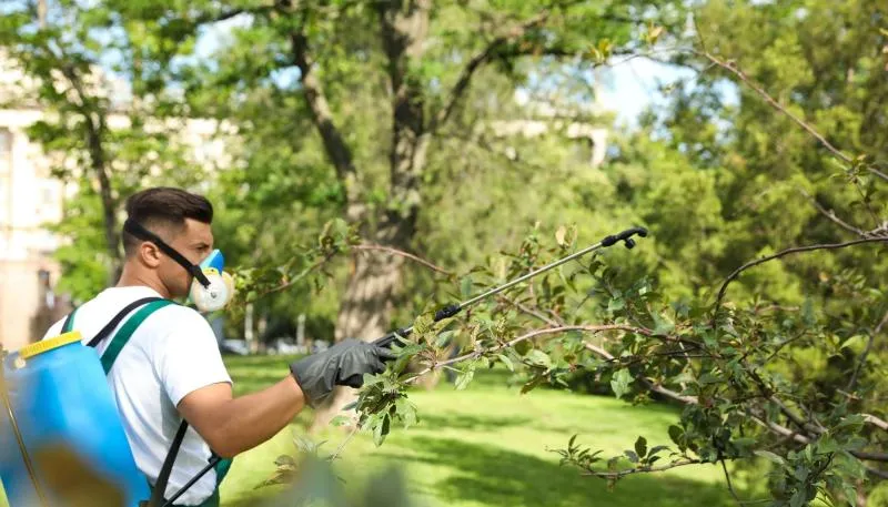 Business 6 image WALNUT CREEK TREE SERVICE