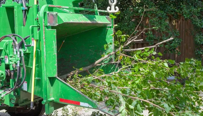 Business 12 image WALNUT CREEK TREE SERVICE