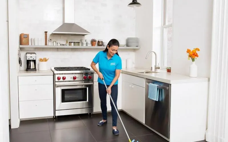 Business 3 image SERVICE JOY MAIDS OF OAKLAND