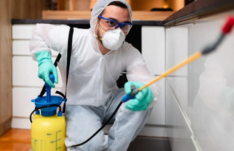 Business 3 image DALLAS PEST CONTROL SOLUTIONS