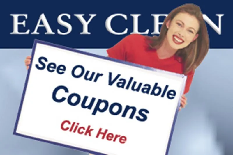 Business 7 image EASY CLEAN CARPET CARE