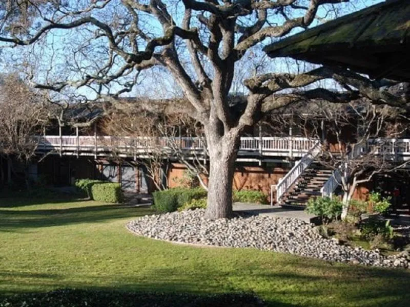 Business 9 image WALNUT CREEK DENTISTS