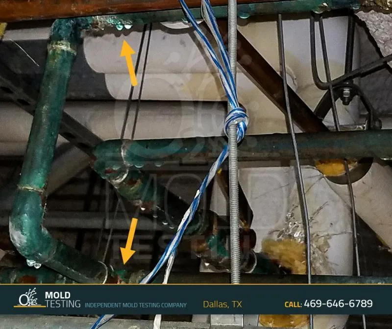 Business 3 image O2 MOLD TESTING