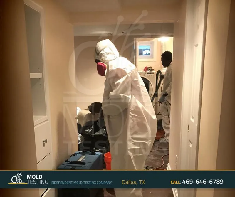 Business 6 image O2 MOLD TESTING