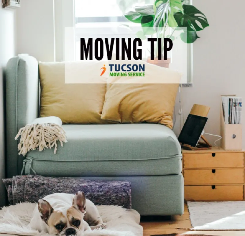 Business 11 image TUCSON MOVING SERVICE