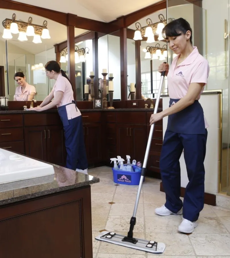 Business 9 image MOLLY MAID OF NORTH SCOTTSDALE, AHWATUKEE AND GILBERT