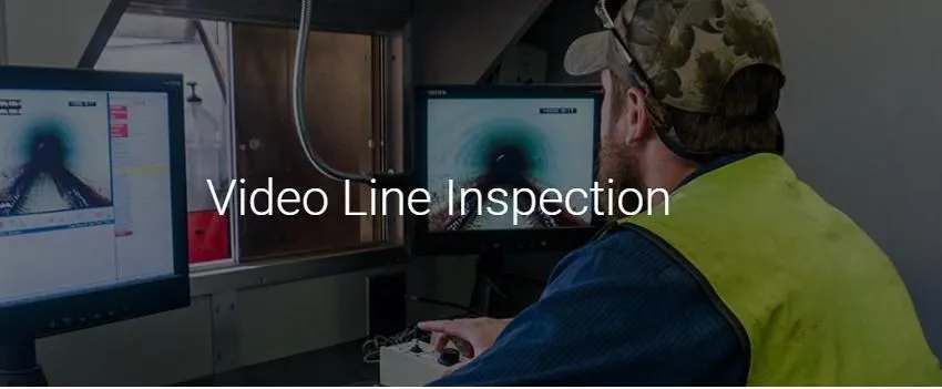 Business 7 image WATSON ROOTER