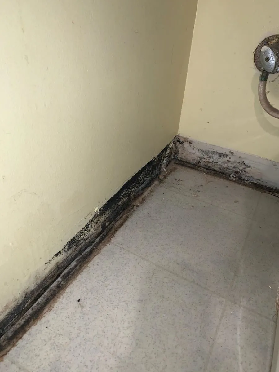 Business 7 image ADVANTACLEAN OF SOUTHWEST MINNEAPOLIS