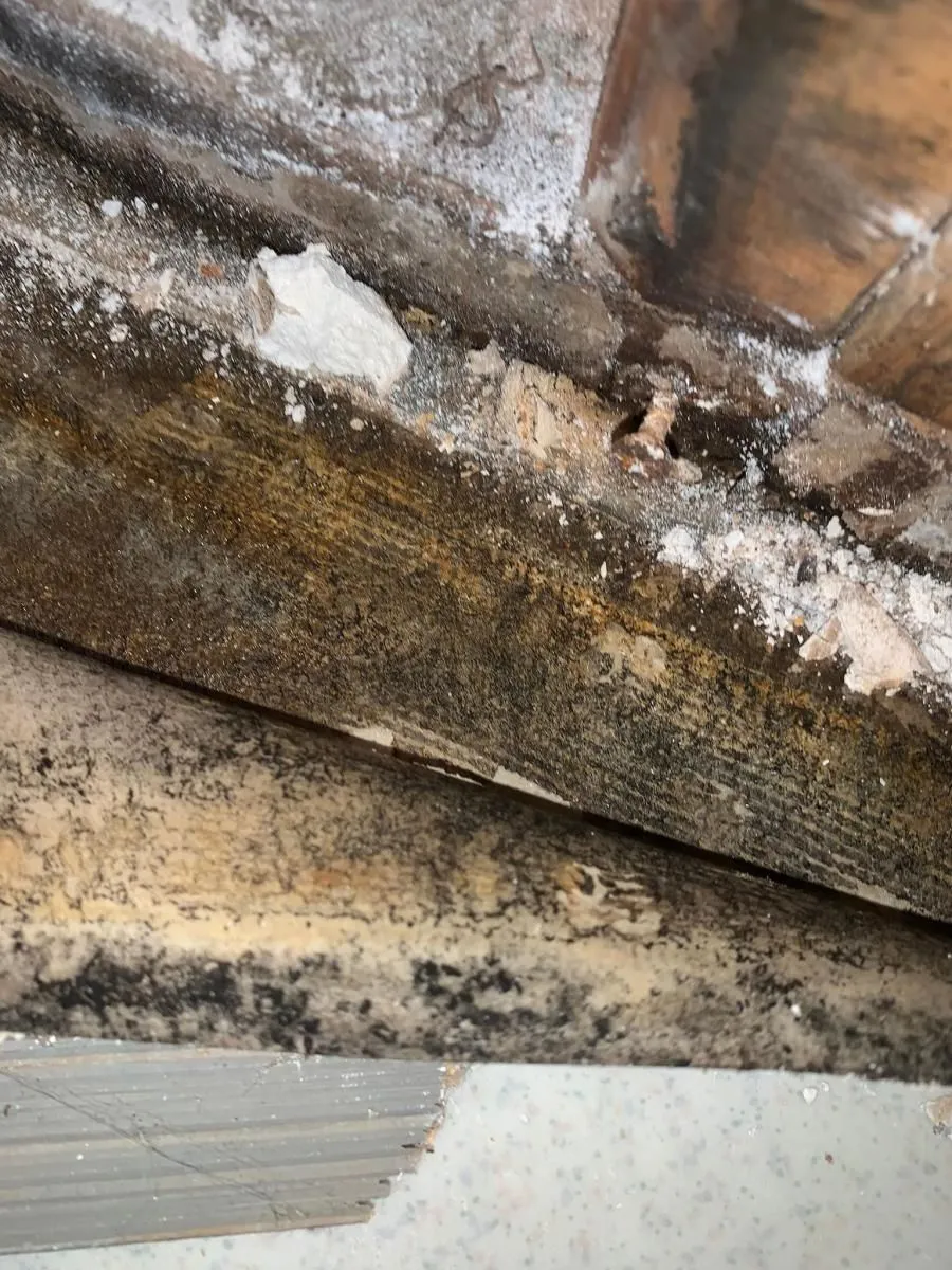 Business 8 image ADVANTACLEAN OF SOUTHWEST MINNEAPOLIS
